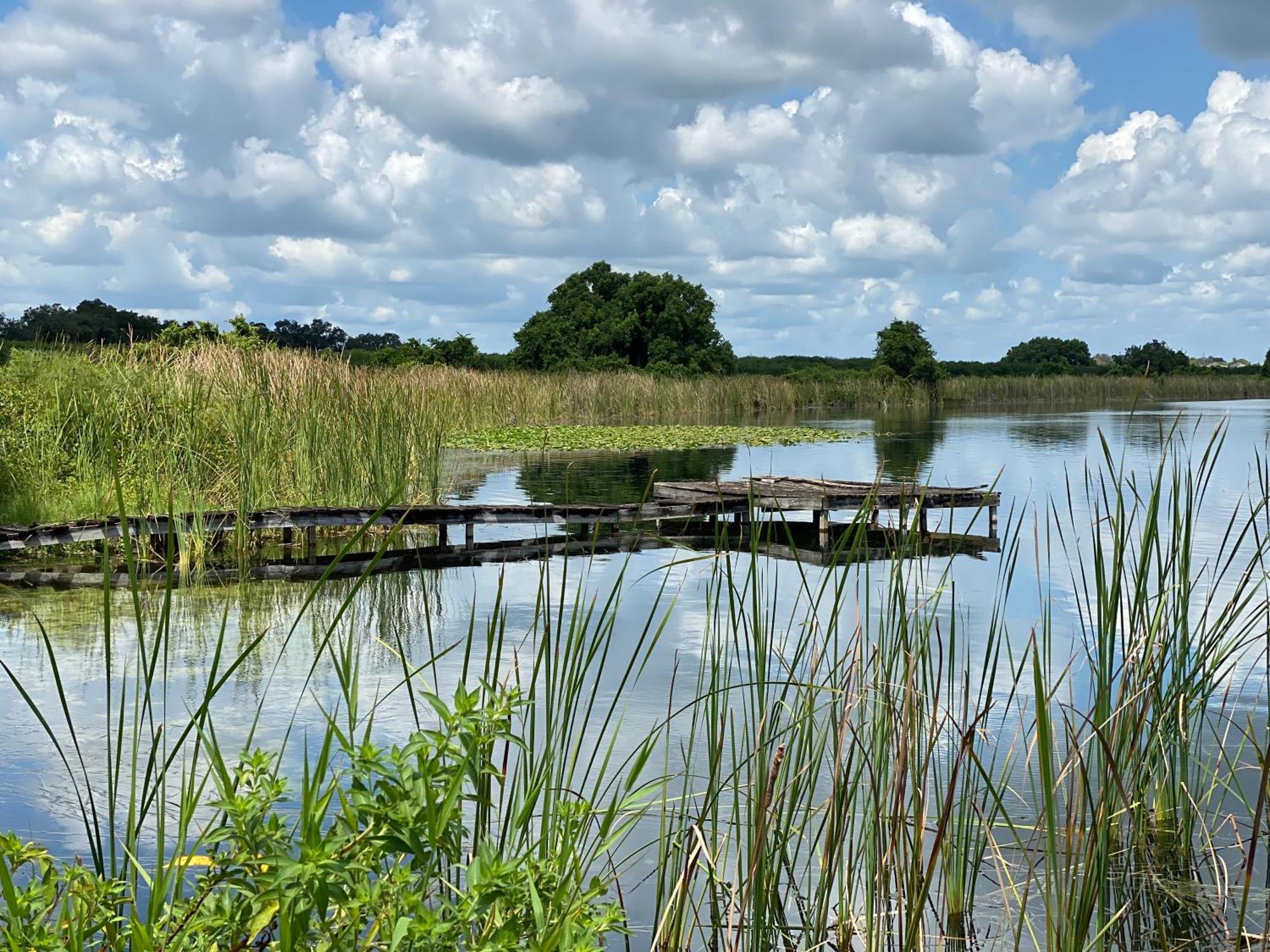 The Scandinavian Contemporary Blauw Lake Alfred Buitenkant foto